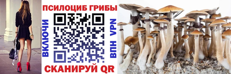 Галлюциногенные грибы Psilocybine cubensis  площадка телеграм  Щёлкино 